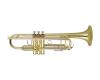 Wisemann Standard Bb Trumpet DTR-250