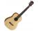 Cort Earth Mini Acoustic Guitar with Bag