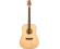 Peavey DW1 Delta Woods Dreadnought Acoustic Guitar