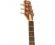 Peavey DW1 Delta Woods Dreadnought Acoustic Guitar