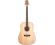 Peavey DW2S Delta Woods Dreadnought Acoustic Guitar Solid Top