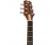 Peavey DW2S Delta Woods Dreadnought Acoustic Guitar Solid Top