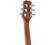 Peavey DW2S Delta Woods Dreadnought Acoustic Guitar Solid Top