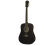 Aria Acoustic Guitar Package Black