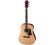 Aria Acoustic Guitar Package Natural