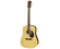 Aria Acoustic Guitar Package Natural Matte