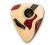 Themed Series Country Music - Multi Guitar Pick Pack