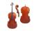 Raggetti Master Cello - Sleeping Beauty 1739