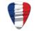 World Country Series - France - Refill Photo Flag Pick