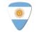 World Flag Series Guitar Pick - Argentina