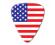 World Flag Series Guitar Pick - USA Flag