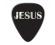 Unlimited Series Guitar Pick - Pearl Jesus