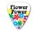 Themed Series Hippie Guitar Picks - Flower Power