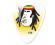 Collectors Series Rasta Guitar Pick