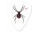 Collectors Series Red Back Spider Pick