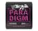 Ernie Ball Paradigm Super Slinky 9:42 Electric