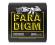 Ernie Ball Paradigm Beefy Slinky 11:54 Electric