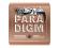 Ernie Ball Paradigm Phosphor Bronze Medium Light Acoustic