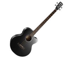 Cort AB850F Acoustic Bass