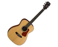 Cort L100C Luce Concert Acoustic Guitar