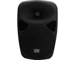 Leem SPP-8 Passive 100W 2-Way 8" PA Speaker