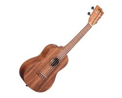 Kala Teak Concert Ukulele