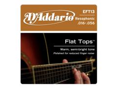 D'Addario Phosphor Bronze Flat Top 16-56 Resophonic - EFT13