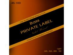 Private Label Nickel Wound Bass 45-100 Light