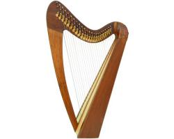 Folk Harp - 24 Strings with Bag