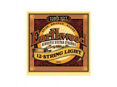 Ernie Ball Earthwood 80/20 12 String - 9/46 Light 2010