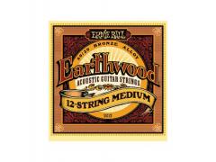 Ernie Ball Earthwood 80/20 12 String - 11/52 Medium 2012