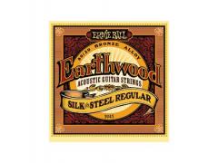 Ernie Ball Earthwood Silk & Steel - 13/56 Regular 2043