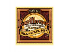 Ernie Ball Earthwood Silk & Steel - 11/52 Soft 2045