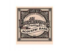 Ernie Ball Acoustic Bass Earthwood 80/20 - 45/95 2070