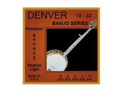 Denver 5 String Banjo Set Phosphor Bronze