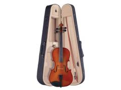 Palatino A45 Allegro Viola Outfit 15 1/2"