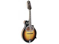 Paris Swing MS-130 Samois Mandolin D-Hole Sunburst