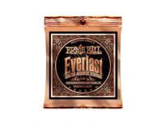 Ernie Ball Everlast Coated Phosphor Bronze - 12/54 Medium Light 2546