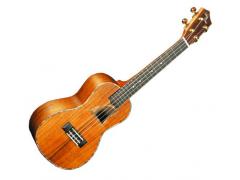 Eddy Finn EF-90C Black Acacia Concert Ukulele