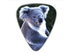 Australian Series Guitar Pick - Koala