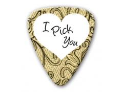 Themed Series Love Guitar Picks - I Pick You