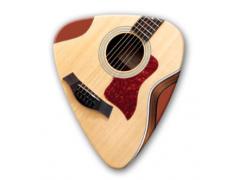 Themed Series Country Guitar Picks - Blonde Guitar