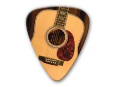 Themed Series Guitar Picks - Acoustic Guitar