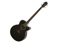 Aria Acoustic Bass Black FEB-30BK