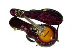 Guardian 044 Vintage Series  Mandolin Case - Suit Paris Swing Mandolins