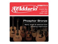 D'Addario Phosphor Bronze Acoustic Bass 5 String 45-130 - EPBB170-5