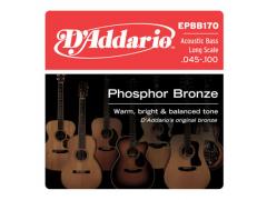 D'Addario Phosphor Bronze Acoustic Bass 45-100 - EPBB170