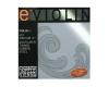 Thomastik-Infeld Violin e01 E-1st Silver 1/2